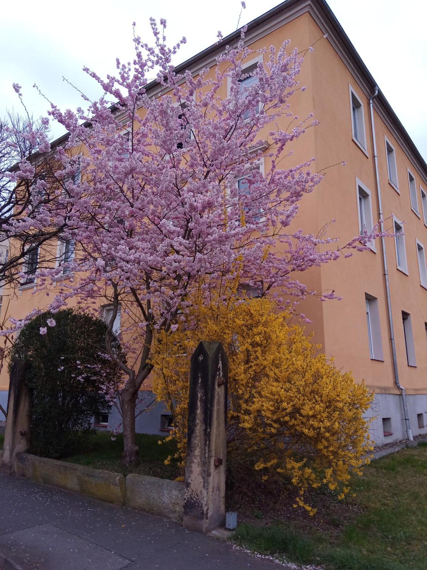 Ferienwohnungen Familie Winter Dohna Exterior foto